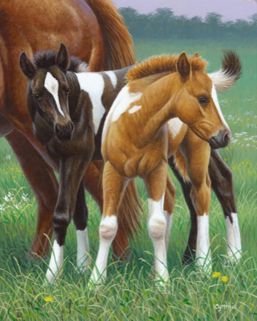 NPI-21490053-Two Foals