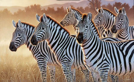 NPI-21490054-6 Zebras in a Group