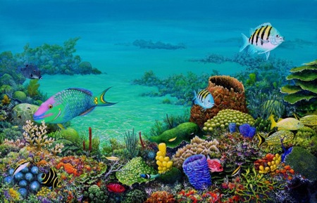 NPI-34035-Abundance Reef