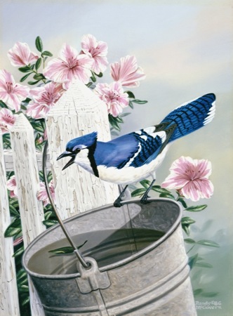 NPI-6266-Bluejay & Azaleas