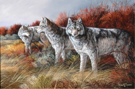 NPI-25034-3 wolves