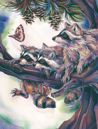 Raccoons and Butterfly 538