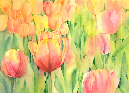 Tulips 2