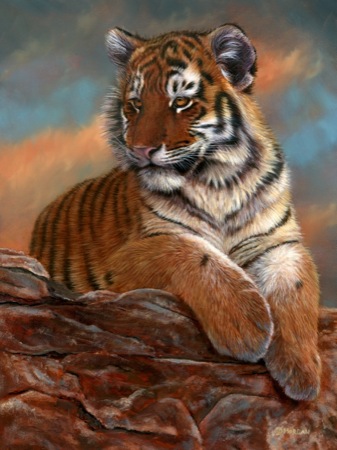 Tiger Cub