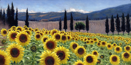 Ploughed Fields With Sunflowers