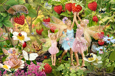 Summer Fairies