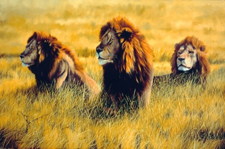 Three Lions