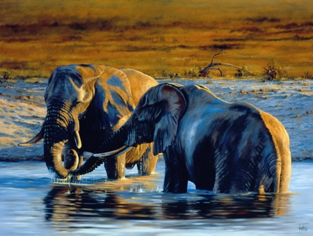 Two Elephants Bathing