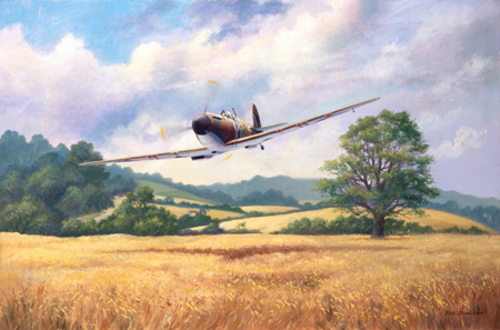 English Summer Spitfire Mk1