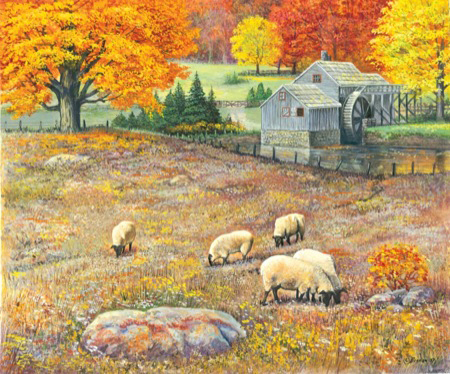 RURL010 Autumn Pasture – Sheep