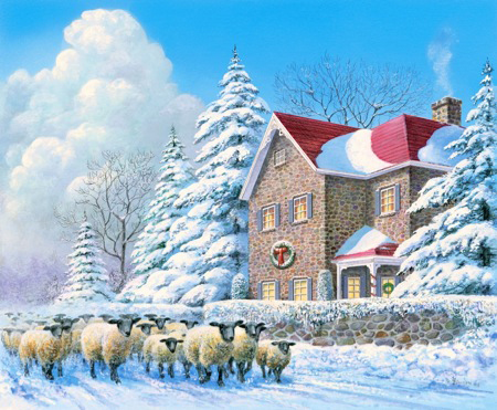 RURL013 Winterpassage – Sheep