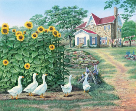 RURL019 Garden Path – Geese and Sunflowers