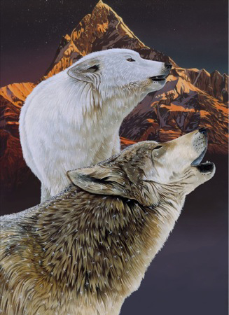 Mountain Wolves