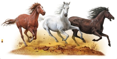 Horses Action Montagepart