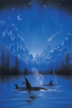 Moonlight Night Journey-killer whale