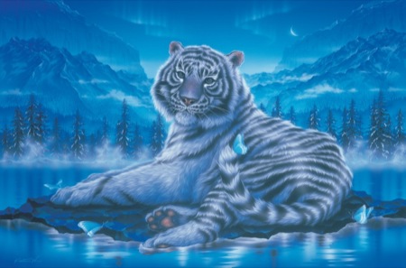 The King of Forest-white tiger