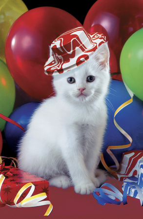 Cat with Balloons A122