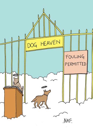 Dog Heaven