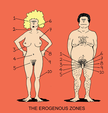 Erogenous Zones