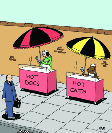 Hot Dog Hot Cat