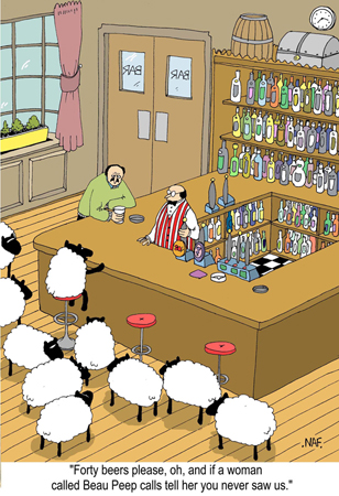 Sheep in Bar