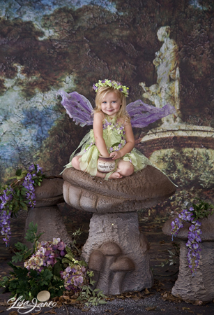 Enchanted Pixie