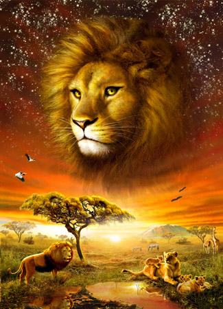 Lion Dawn