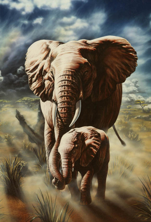 Elephants