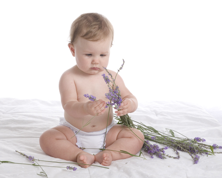 Playing with Lavender