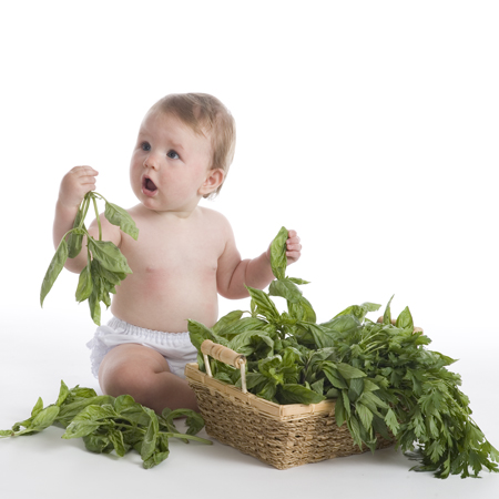 Baby Among Leaves