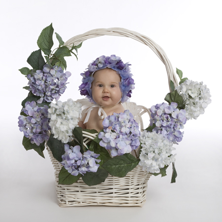 Baby in Flower Basket