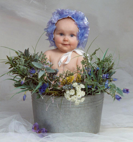 Baby in Wild Flowers