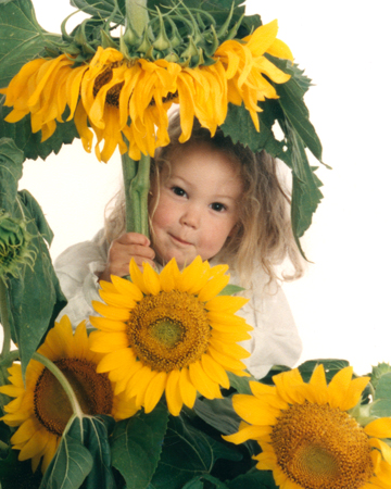 Sunflower Girl