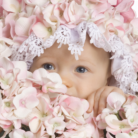 Peeking Through the Flowers