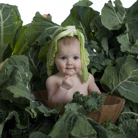 Cabbage Kid