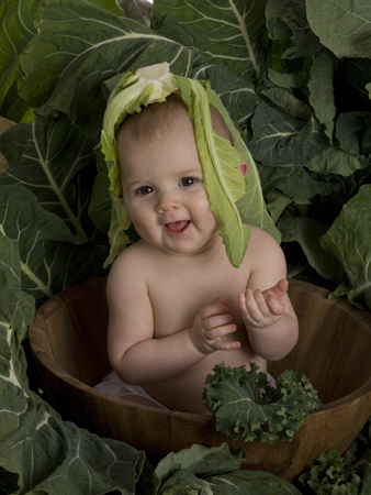 Baby in Cabbage Leaves