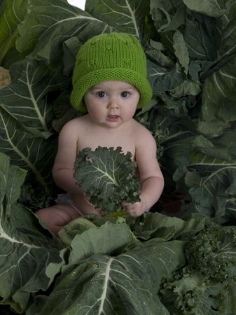 Baby Big Leaf