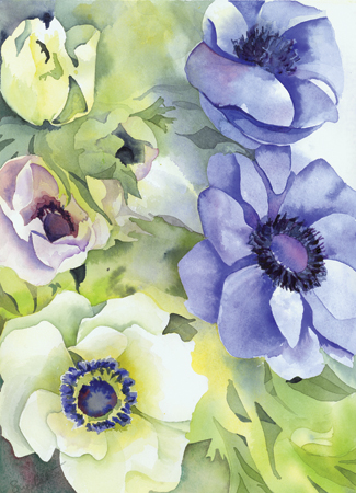 Blue Anemones