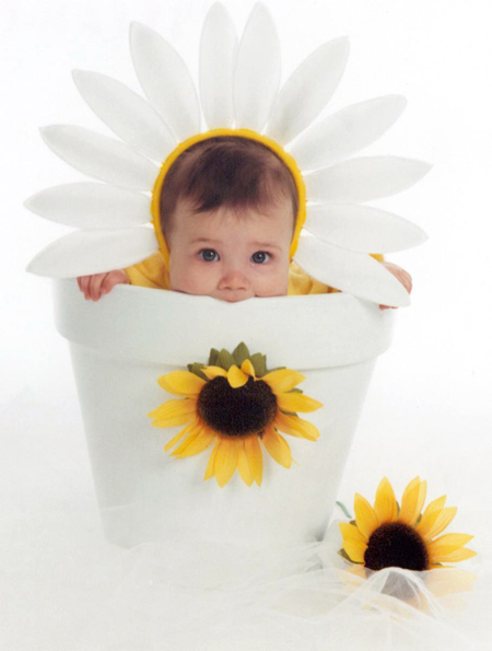 Sunflower Baby Pot