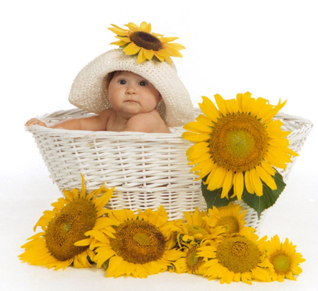 Sunflower Baby Hat