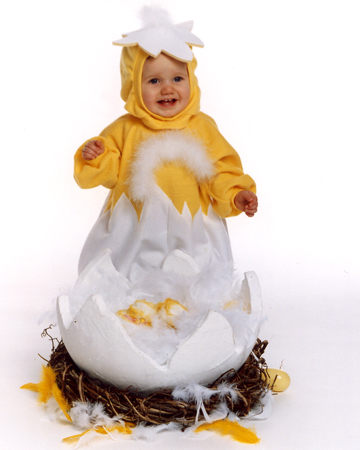 Yellow Easter Baby Hatchling