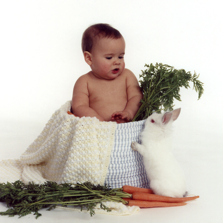 Bunny Likes Carrots