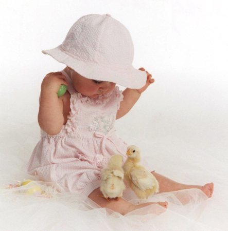 Toddler and Fluffy Chicks