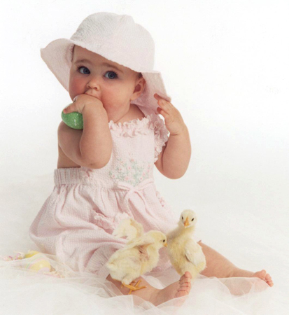 Toddler in Pink With Easter Chicks