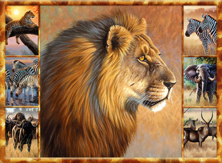 African Lion Multipic – NPI