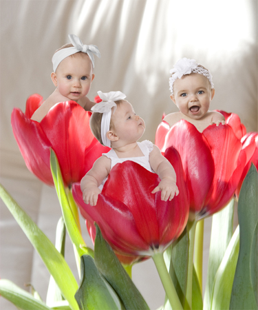 Tulips Children