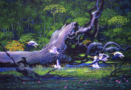 Pelicans in the Forest