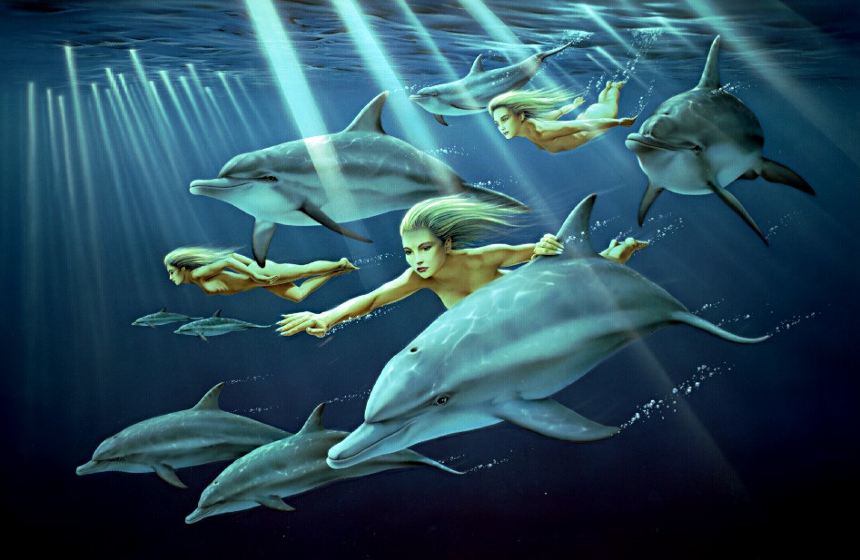 Dolphin companions