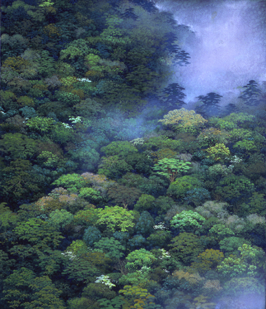 High Above the Rainforest