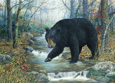 Bearly Wading (NPI)